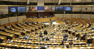 Европарламент направит наблюдательную миссию на выборы в Грузии