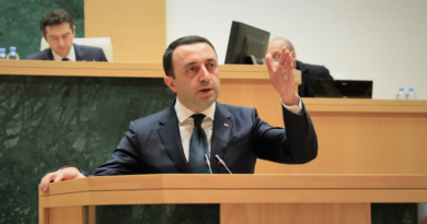 Гарибашвили: «Мой начальник — грузинский народ, а не член Европарламента»