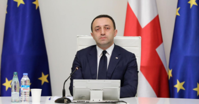 Гарибашвили предположил, что президент Грузии не владеет необходимой информацией о помощи ЕС