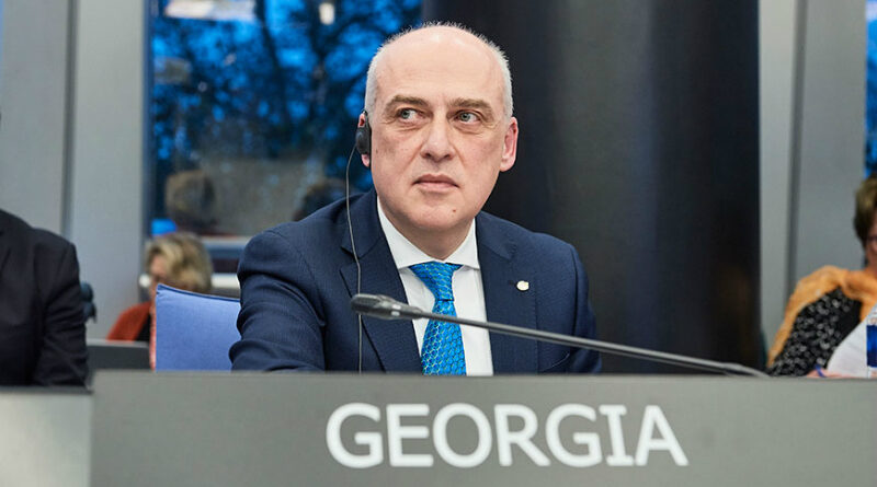 Глава МИД Грузии призвал к правильной трактовке заявлений европейских партнеров