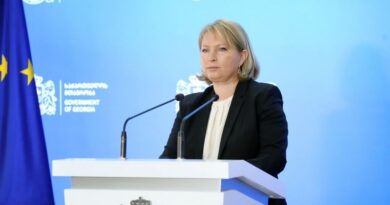 Глава Минэкономики Грузии о контракте по Намахвани ГЭС: «Риск международного арбитража есть»