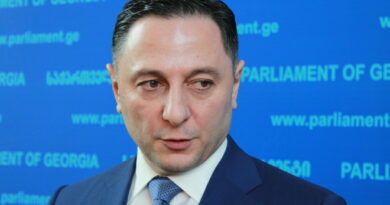 Глава МВД Грузии призывает дождаться итогов расследования по делу о предположительной прослушке