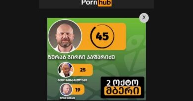 Грузинский политик разместил предвыборную рекламу на порносайте