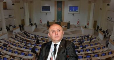 Почему главу СГБ не могут или не хотят вызвать в парламент Грузии