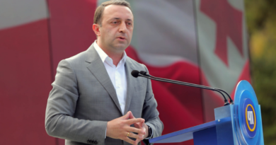 Премьер Грузии: Мы продолжим диалог с «Enka Renewables»
