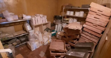 В 33-ех из 40 фармацевтических предприятий Тбилиси обнаружены нарушения