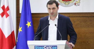В Грузии создадут специальную аппликацию для установления ковид-статуса