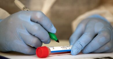 24 октября: В Грузии выявили 3436 новых случаев коронавируса, скончались 43 человека