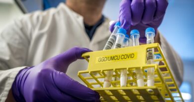 29 октября: В Грузии выявили 3965 новых случаев коронавируса, скончались 43 человека