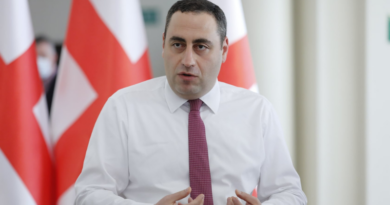 Гиорги Вашадзе призвал голосовать за кандидатов от оппозиции