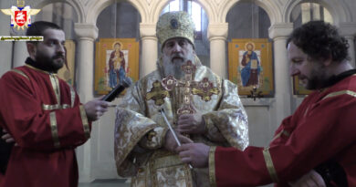 Грузинский митрополит подверг Саакашвили критике