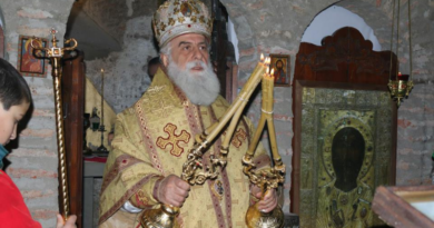 Митрополит Анания заявил, что присоединится к петиции об освобождении Саакашвили