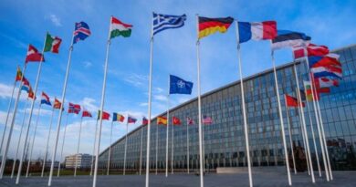 ПА НАТО выступило за ускорение евроатлантической интеграции Грузии