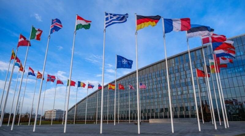 ПА НАТО выступило за ускорение евроатлантической интеграции Грузии
