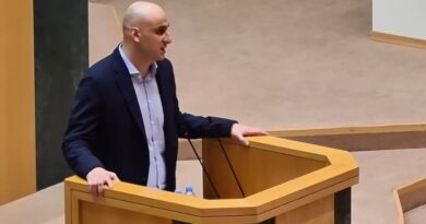 Парламент поддержал досрочное прекращение депутатских полномочий Ники Мелия