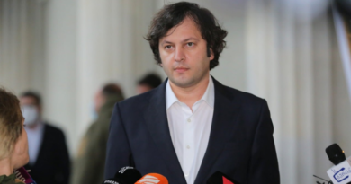 Председатель «Грузинской мечты» прокомментировал информацию о предвыборном митинге партии