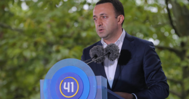 Премьер Грузии: «Оппозиции не удалось достичь желаемой цели и вызвать беспорядки в стране»