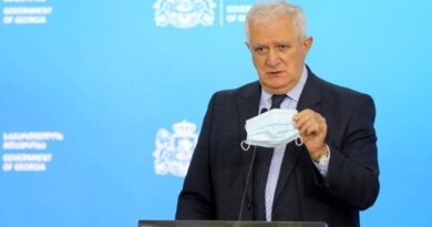 В Грузии возможно введут «зеленые паспорта»