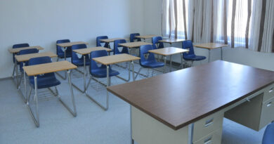 В Грузии за прошедшую неделю на дистанционное обучение перешли 218 школ и 415 классов
