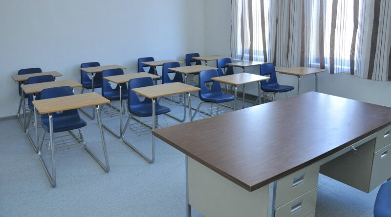 В Грузии за прошедшую неделю на дистанционное обучение перешли 218 школ и 415 классов