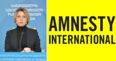 Amnesty International заявляет о недопустимости нападок на Народного защитника Грузии