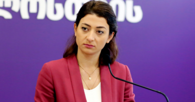 Член партии «За Грузию»: «20% страны оккупировано, а власти не могут обеспечить безопасность одного человека?»