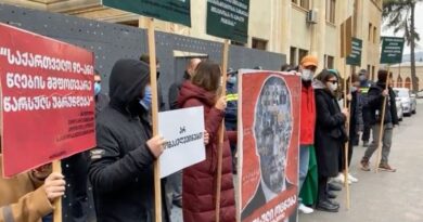 Движение «Shame Movement» проводит митинг перед зданием Парламента Грузии