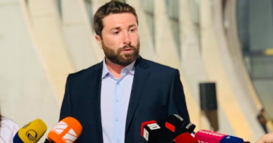 Экс-кандидат в мэры Тетрицкаро задержан возле здания парламента Грузии