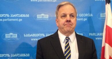 Экс-посол США о властях Грузии — «Видимо, они поворачиваются к Западу спиной»