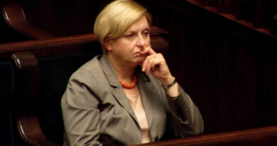 Евродепутат Анна Фотыга приехала в Грузию