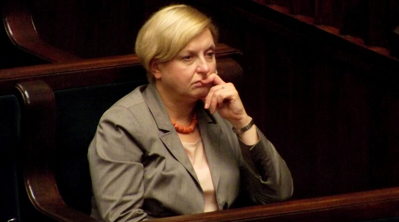 Евродепутат Анна Фотыга приехала в Грузию