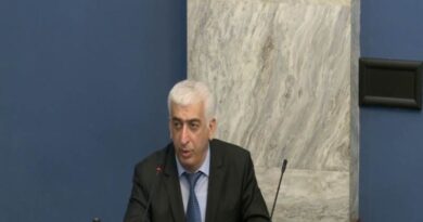 Кандидат в судьи Верховного суда отрицает наличие «клана» в судебной системе Грузии