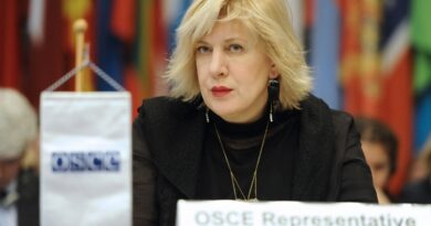Комиссар Совета Европы поддержала Народного защитника Грузии