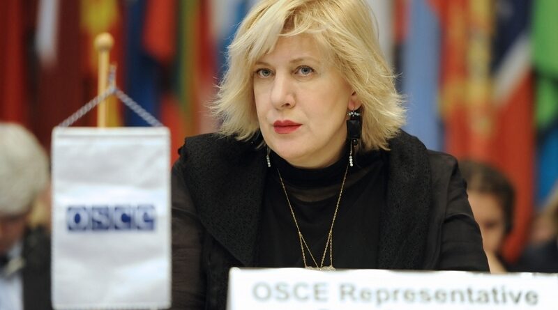 Комиссар Совета Европы поддержала Народного защитника Грузии