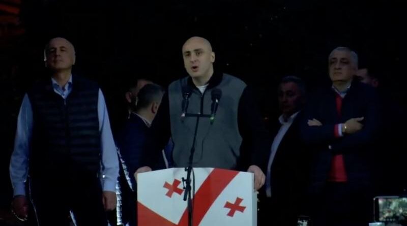 Мелия: Зурабишвили ожидает смерти третьего президента