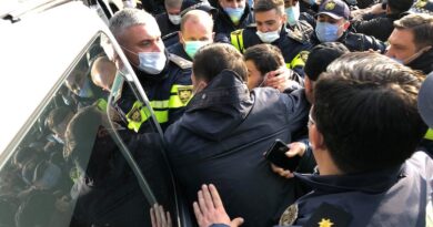 МВД сообщает о 46 задержанных на акциях протеста в Тбилиси
