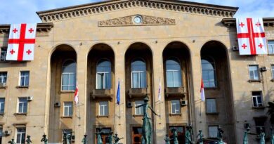 Шесть депутатов Сакребуло Рустави объявили голодовку