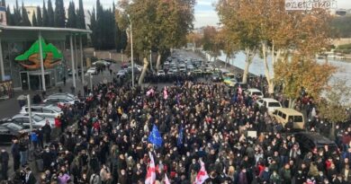 Шествие «Нацдвижения» завершилось у резиденции президента Грузии
