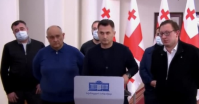 В Грузии 9 депутатов объявили голодовку