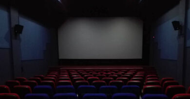 В Грузии количество зрителей в кинотеатрах и театрах увеличится до 50%