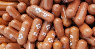 Великобритания первой в мире одобрила таблетки от ковида