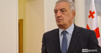 Вице-спикер парламента Грузии: Омбудсмен Украины и Гордон приезжают с целью развития дестабилизации