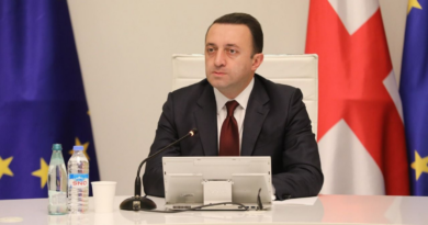 Гарибашвили: В 2022 году у нас запланирован экономический рост в 6%