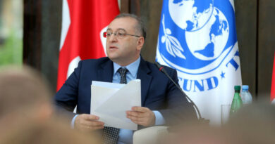 Глава Нацбанка Грузии объяснил причину высокого уровня инфляции в стране