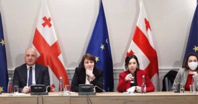 Грузинская оппозиция ответила согласием на предложение президента