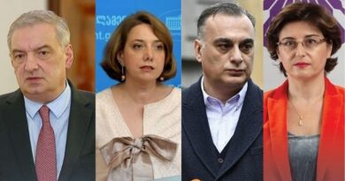 Грузинские депутаты прокомментировали отставку главы Минздрава