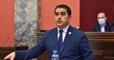 Кандидатом на этот пост председателя парламента Грузии объявлен Шалва Папуашвили