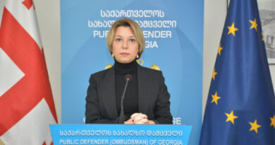 Народный защитник Грузии прокомментировала тему отправки Саакашвили на лечение за границу