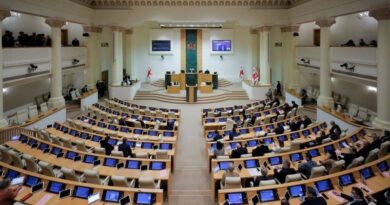 Парламент Грузии утвердил бюджет на 2022 год