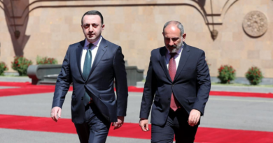 Премьер Армении о расширении экономических связей с Грузией